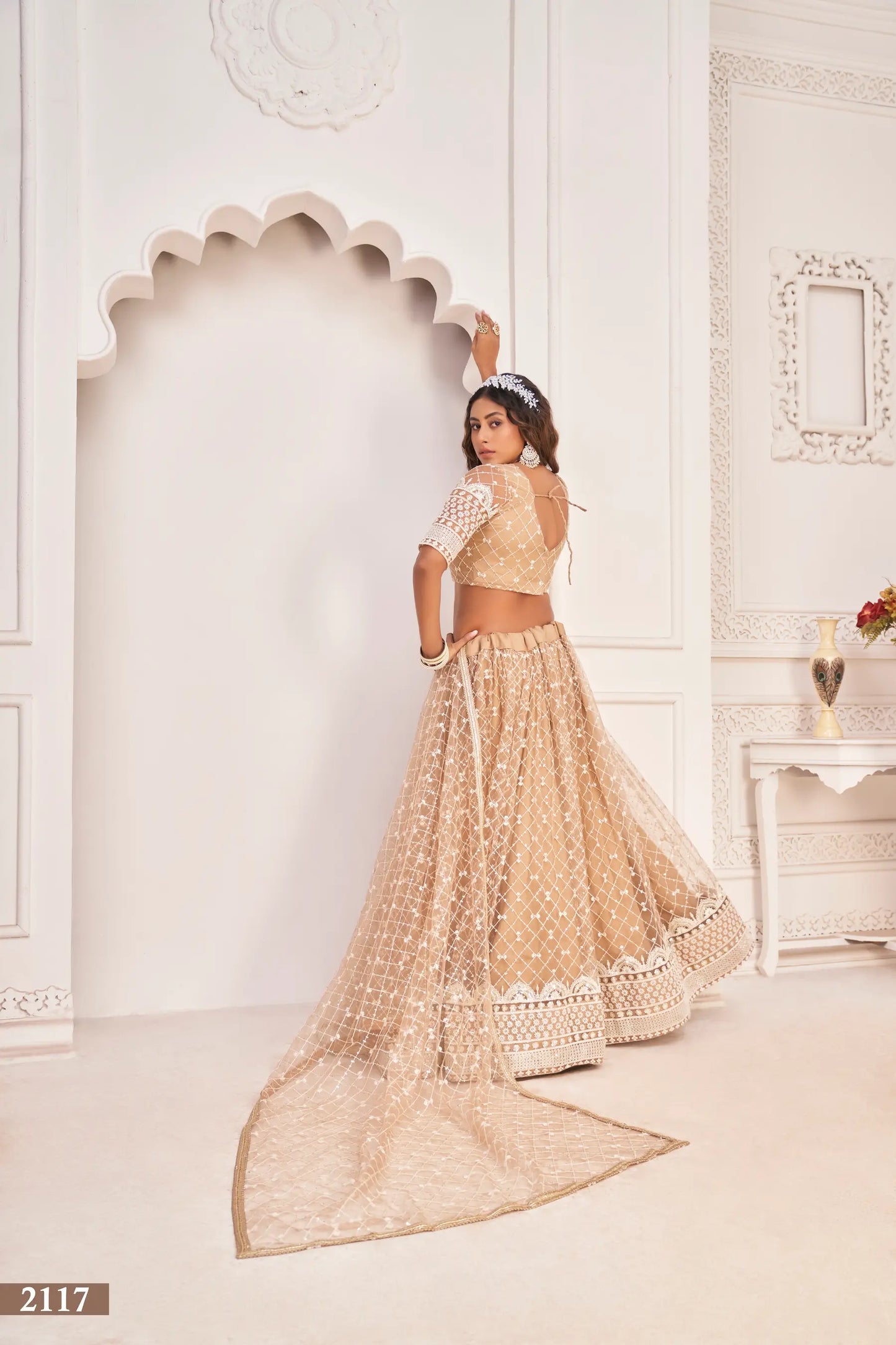 Dusty Beige Net Lehenga Choli With White Cotton Thread Work, Zari Work & Sequence Work
