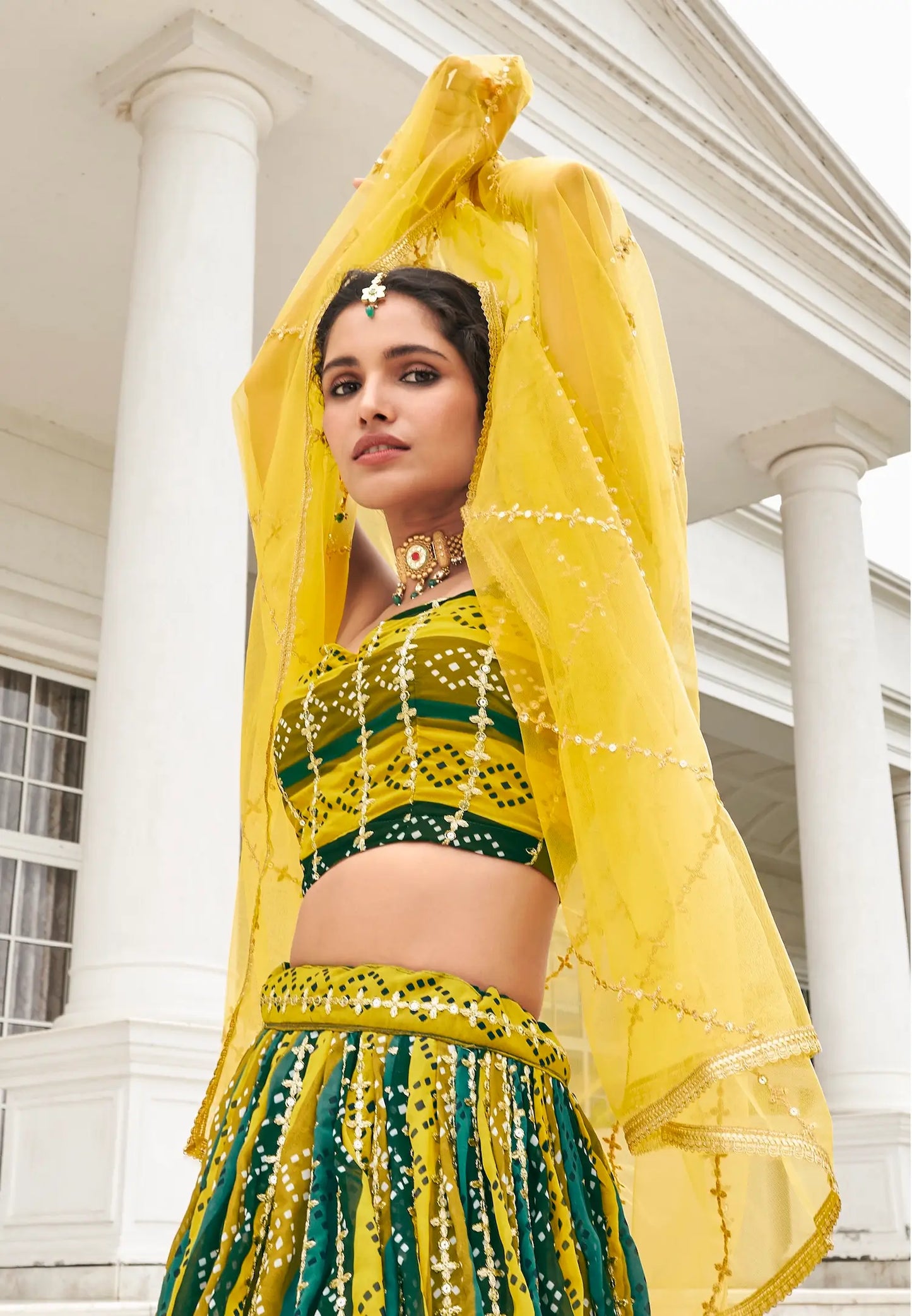Yellow-Multicolor Georgette Lehenga Choli With Digital Print & Embroidery Work