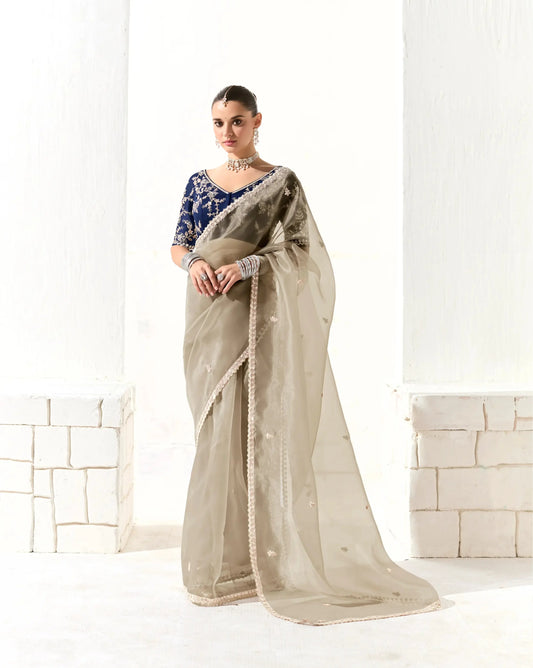Beige Organza Saree Blouse With Heavy Embroidery work