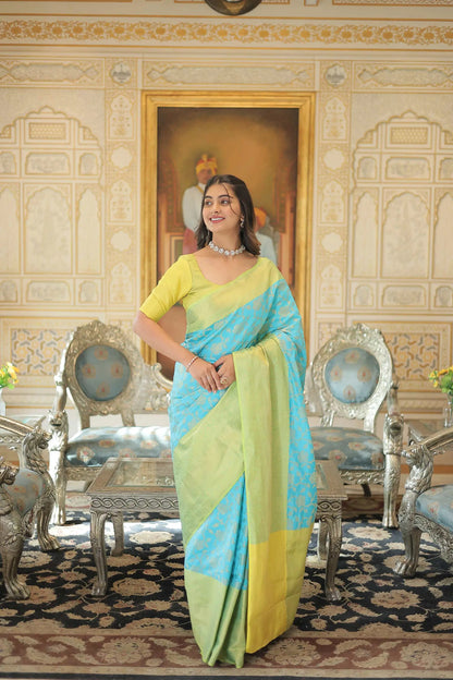 Sky  Kanjivaram Zari Weaving Silk Saree