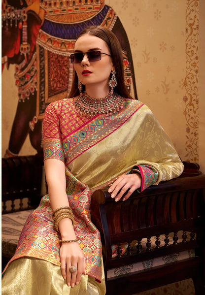 Beige Tissue Silk Saree with Designer Contrast Border