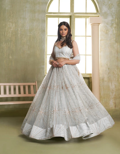 Light Grey Net Lehenga Choli With Cotton Thread Work & Sequence Embroidery Work