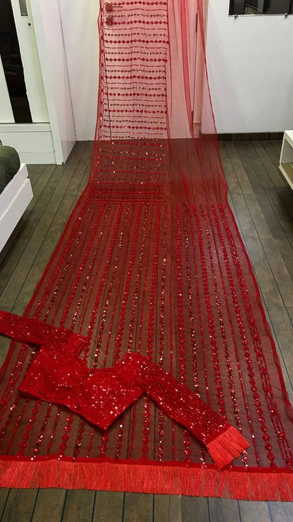 Red Net Saree With Sequins & Thread Work