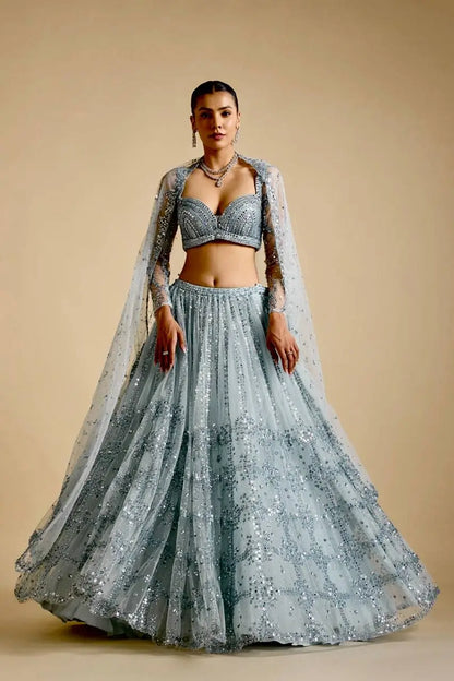 Sky Blue Net Sequence Work Lehenga Choli