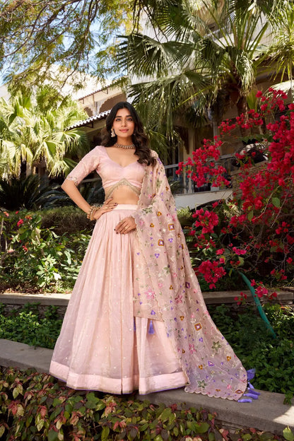 Pastel Pink Crush Sequence Embroidery Lehenga Choli