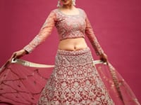 Fnatasy Rose Thread Zari Badla And Glitter Dori Embroidery Work Soft Net Lehenga Choli