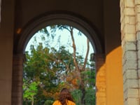 Green Yellow Georgette Embroidery Work Co-ord Set