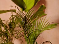 Purplish Grey Pure Organza Hand Work Designer Co-Ord Set